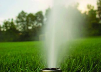 Colorado Gone Green: Sustaining the Landscape of Our Communities and Golf…the Game